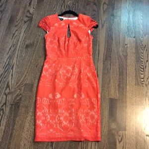 Bebe lace dress